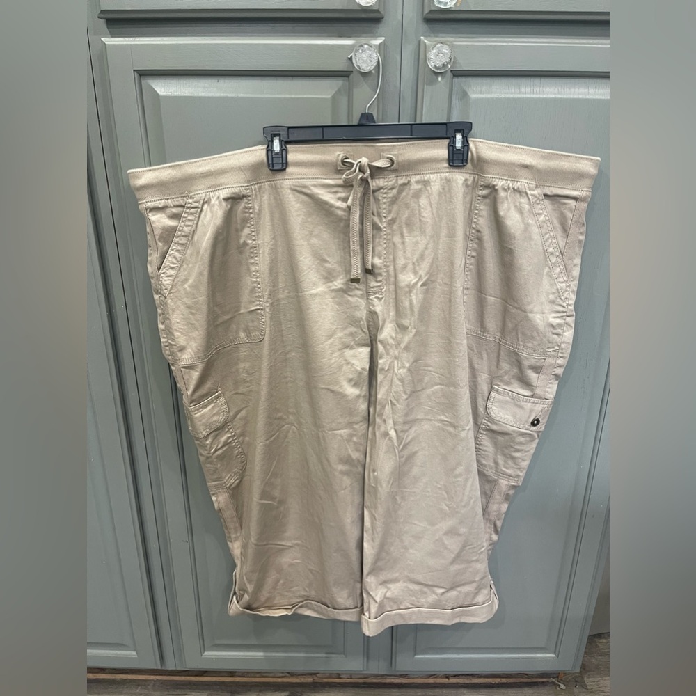 Terra & Sky women’s shorts 5x